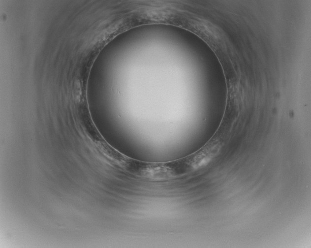 X0000060750752200511241703