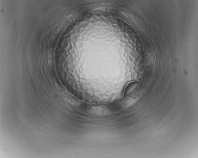 X0000060750753200511241703