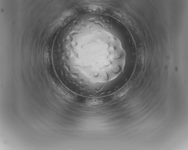 X0000060750754200511241703