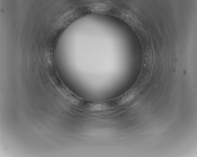 X0000060750755200511241703