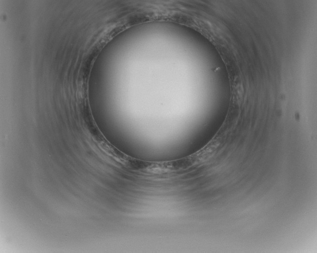 X0000060750756200511241703