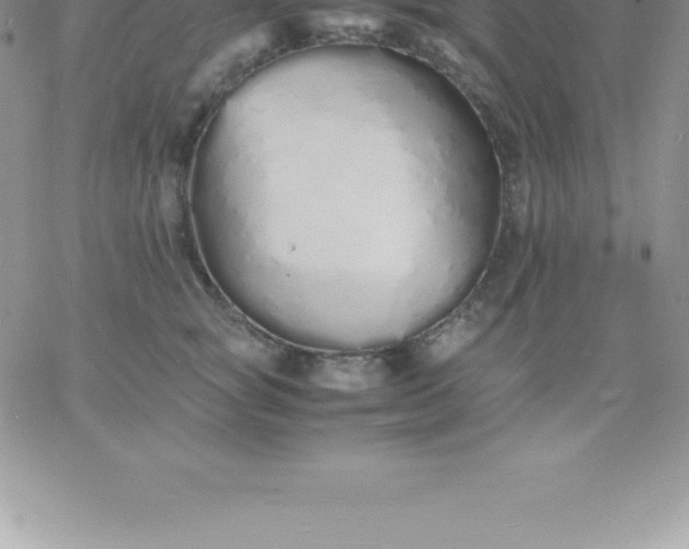 X0000060750757200511241703