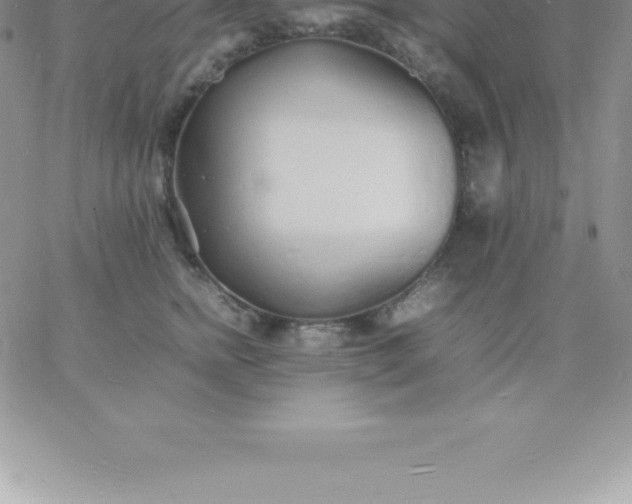 X0000060750758200511241703