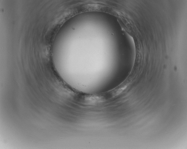 X0000060750759200511241703