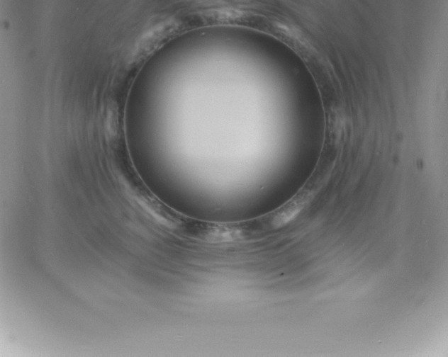 X0000060750760200511241703