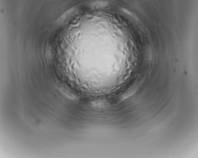 X0000060750761200511241703