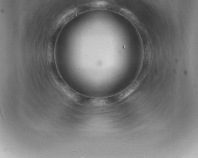 X0000060750762200511241703