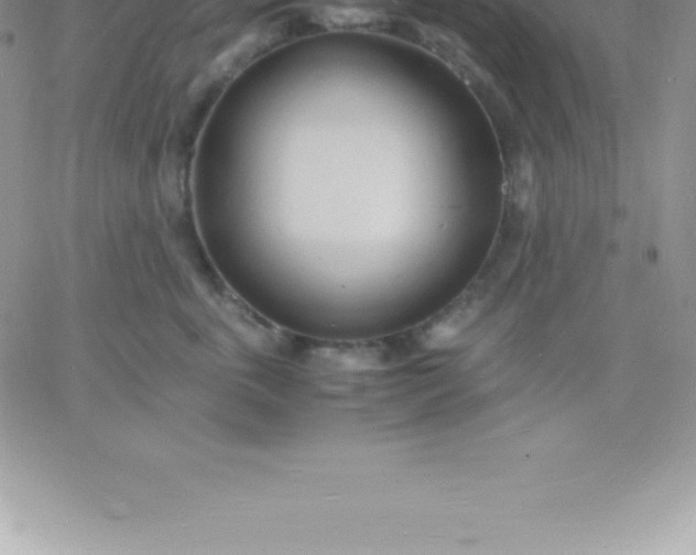 X0000060750763200511241703