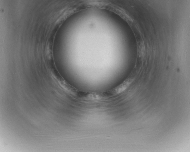 X0000060750764200511241703