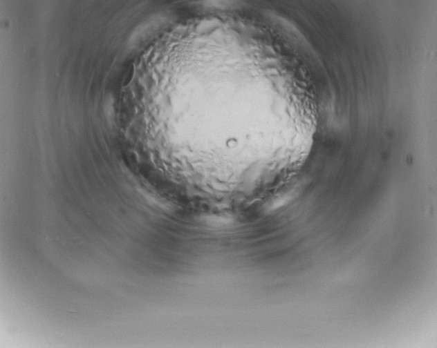 X0000060750765200511241703