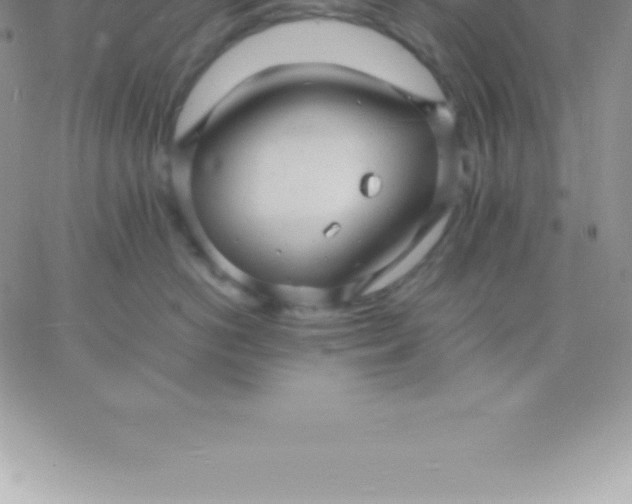 X0000060750766200511241703