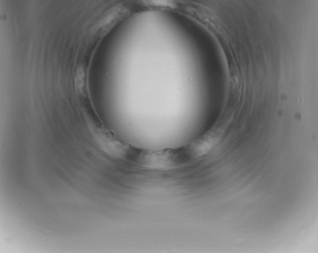 X0000060750767200511241703