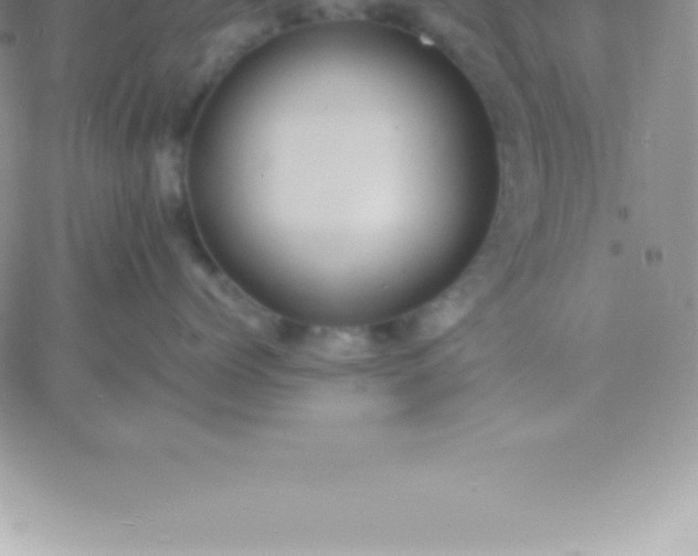 X0000060750768200511241703