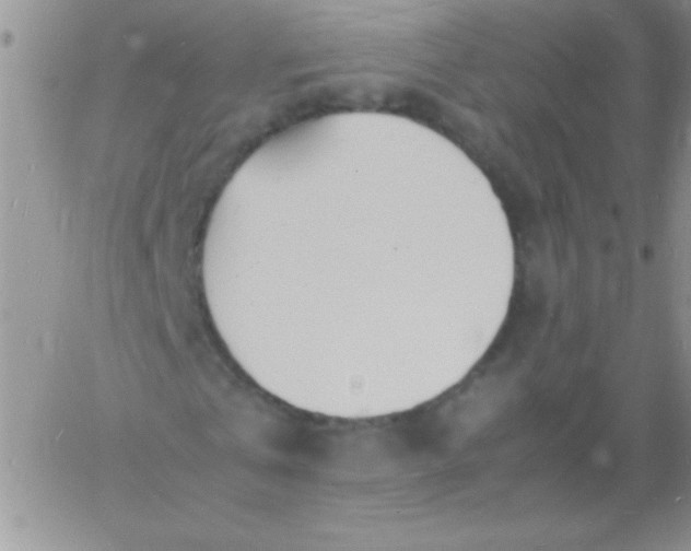 X0000060750769200511241702