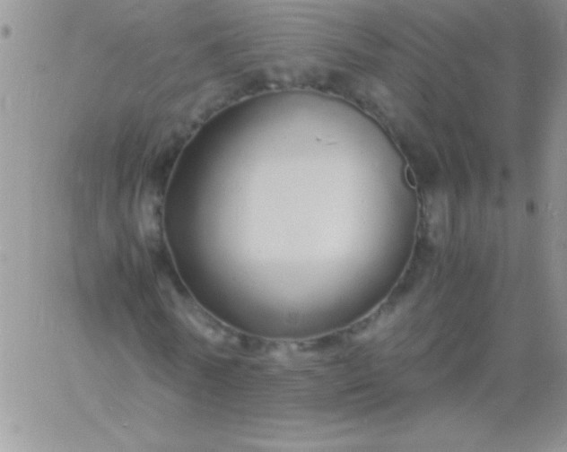 X0000060750770200511241702