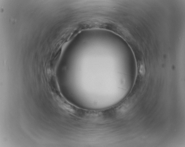 X0000060750771200511241702