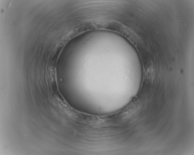 X0000060750772200511241702