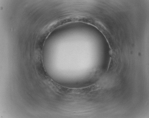 X0000060750773200511241702