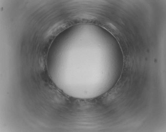 X0000060750774200511241702