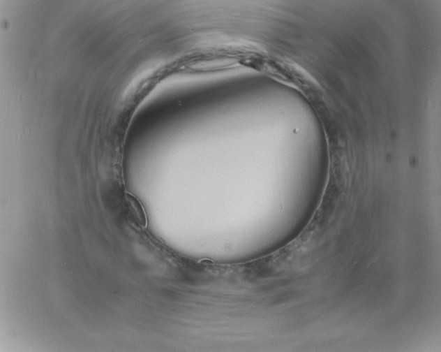 X0000060750775200511241702