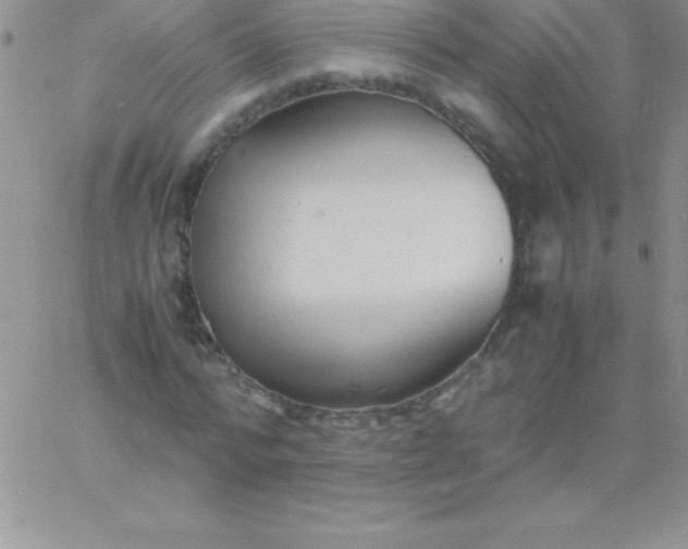 X0000060750776200511241702