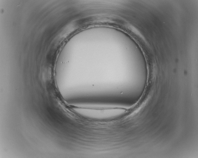 X0000060750777200511241702