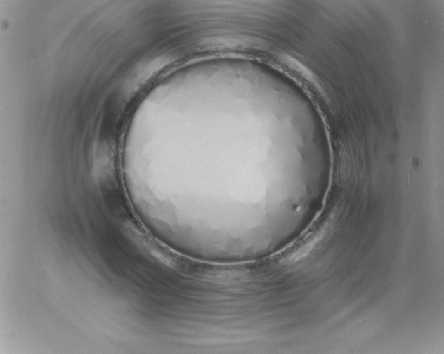 X0000060750778200511241702