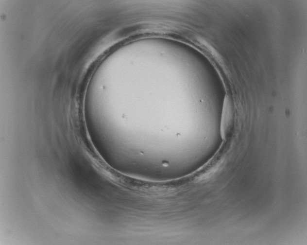 X0000060750779200511241702