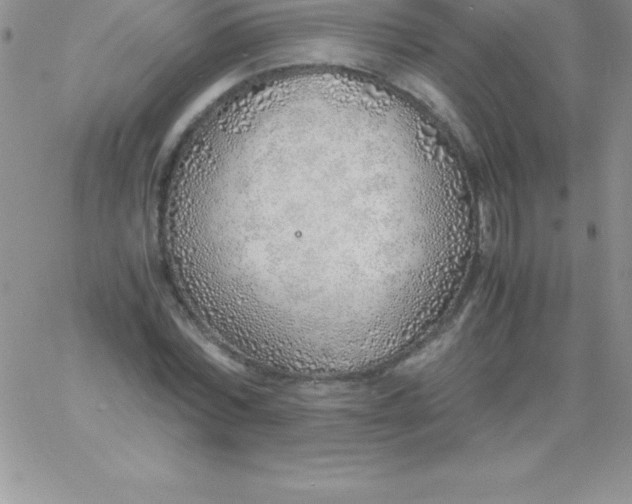 X0000060750780200511241702