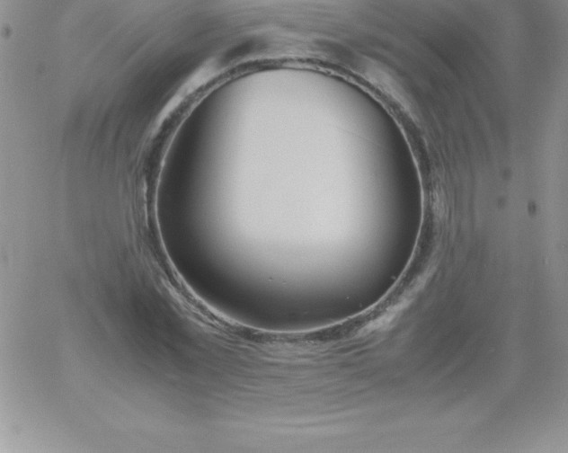 X0000060750781200511241702