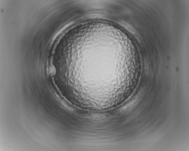 X0000060750782200511241702