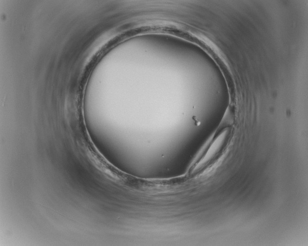 X0000060750783200511241702