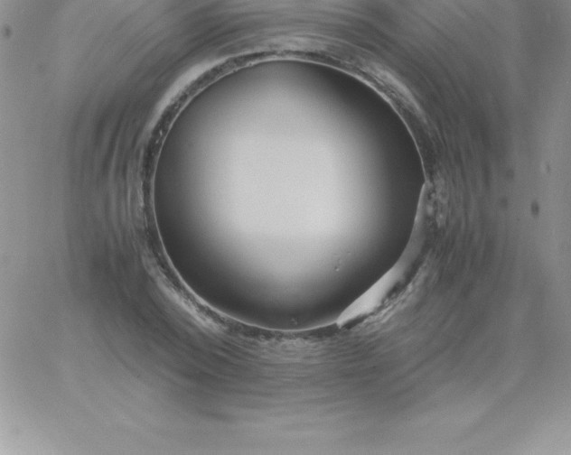 X0000060750784200511241702