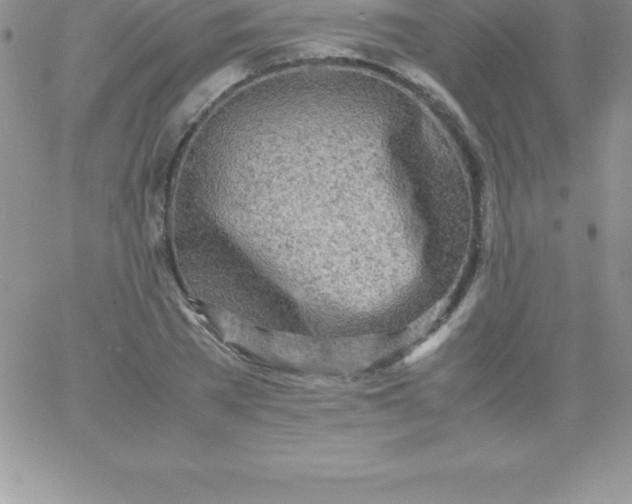 X0000060750785200511241702