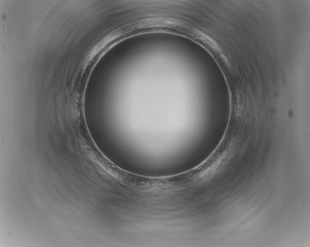 X0000060750786200511241702