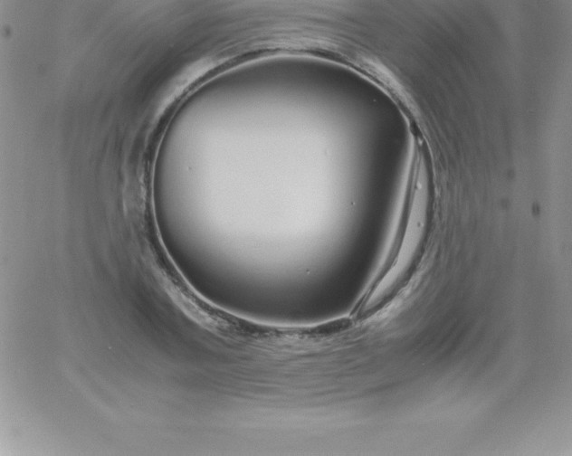 X0000060750787200511241702