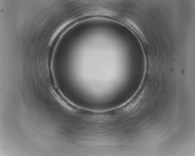 X0000060750788200511241702