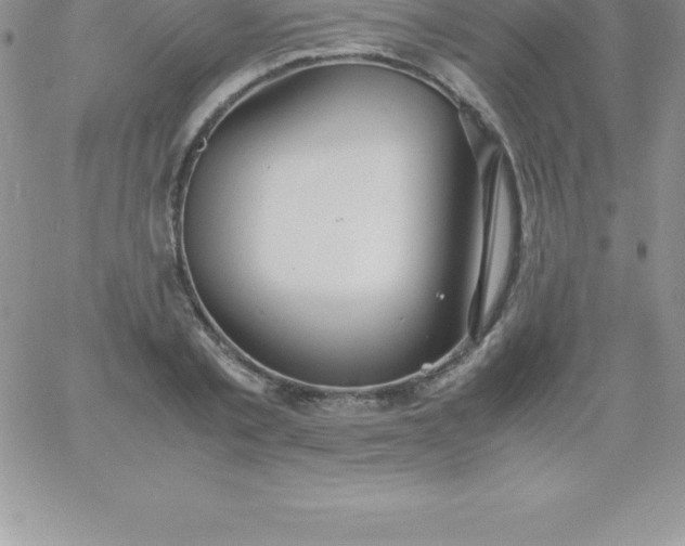 X0000060750789200511241702