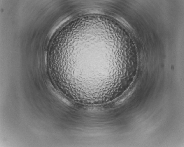 X0000060750790200511241702