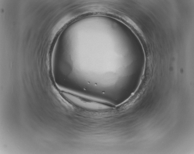 X0000060750791200511241702