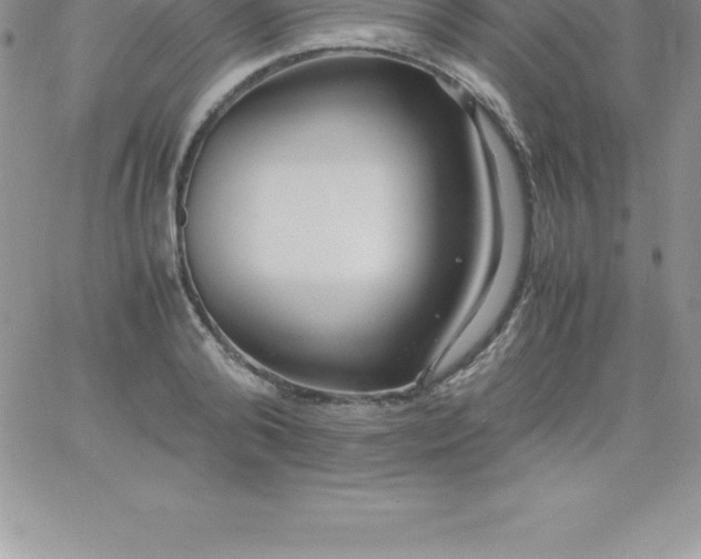 X0000060750792200511241702