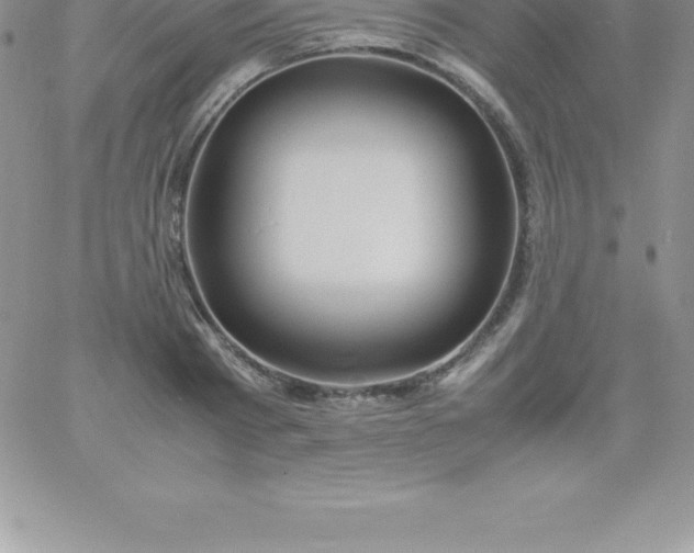 X0000060750793200511241702