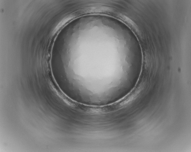 X0000060750794200511241702