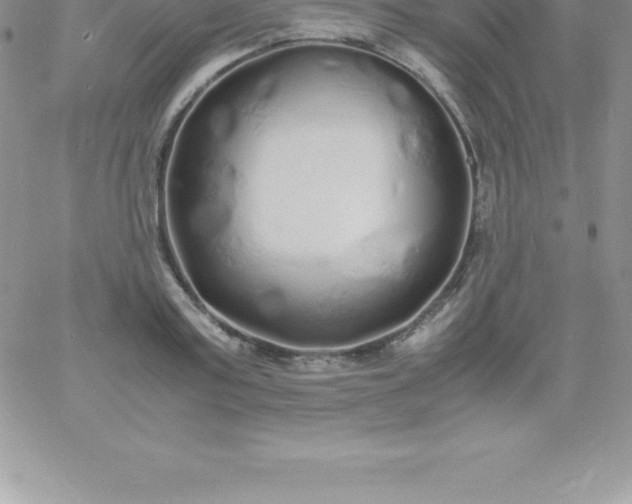 X0000060750795200511241702