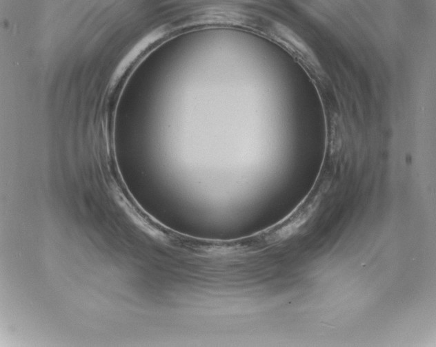 X0000060750796200511241702