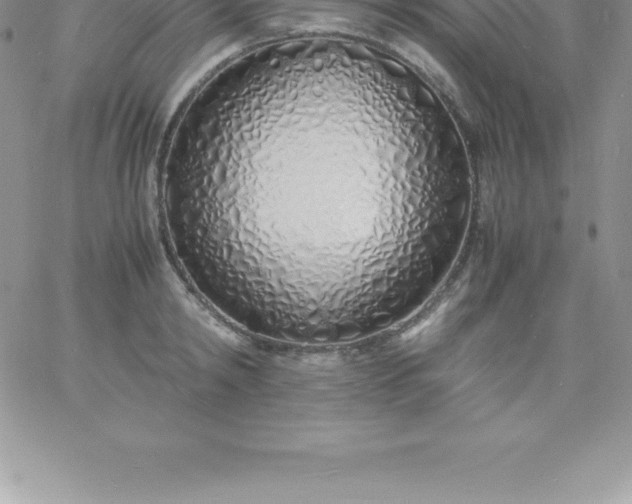 X0000060750798200511241702