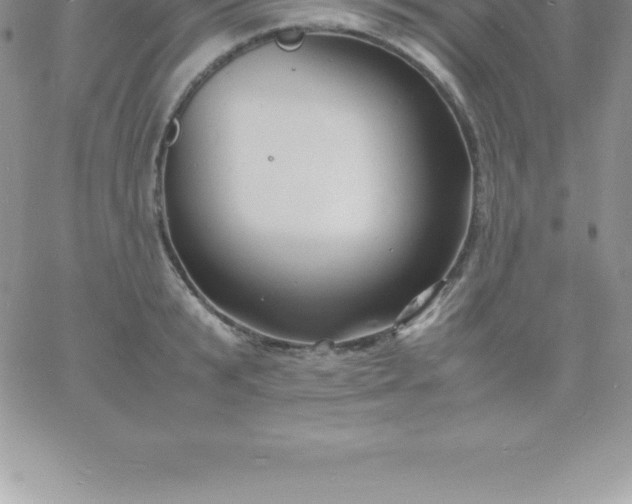 X0000060750799200511241702