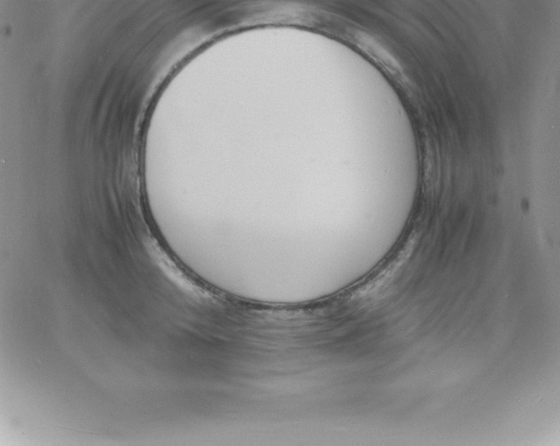 X0000060750800200511241702