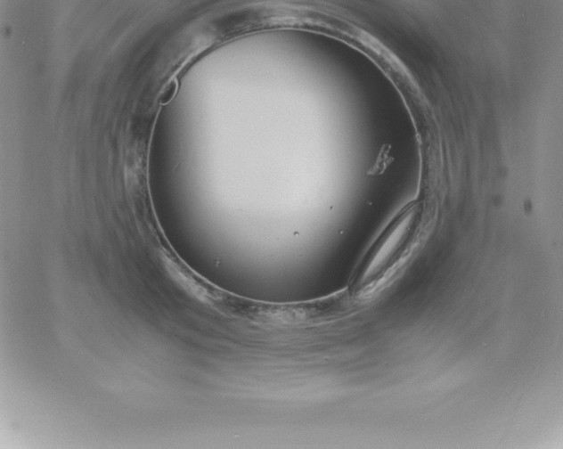 X0000060750801200511241702