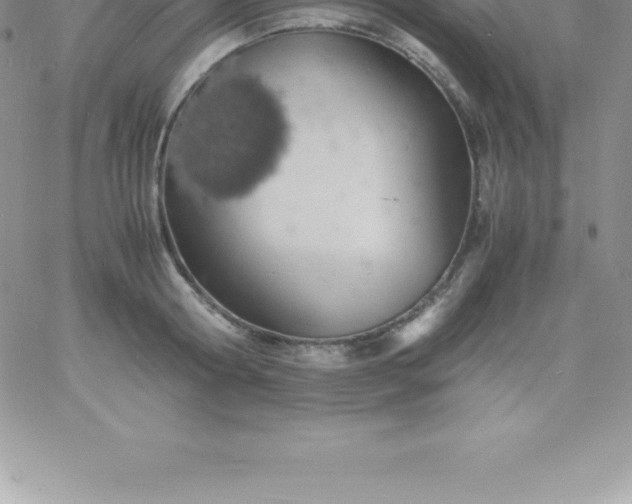 X0000060750802200511241702